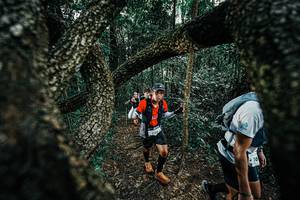 BIB: 
                            <button type="button" onclick="openModal(25392077)" class="btn btn-primary btn-sm float-right btn-popup" data-toggle="modal" data-target=".modal-high-quality">
                        <i class="fas fa-shopping-cart"></i> Add to Cart
                    </button>
                                            <button type="button" onclick="isThisMe(25392077, true)" class="btn btn-success btn-sm float-right btn-popup btn-isme hidden" data-toggle="tooltip" data-placement="bottom" title="นี่คือรูปของคุณใช่ไหม คลิกที่นี่เพื่อเอาเข้าอัลบั้ม">
                        <i class="fas fa-plus"></i> Add to album
                    </button>
                    <button type="button" onclick="isThisMe(25392077, false)" class="btn btn-warning btn-sm float-right btn-popup btn-isnotme hidden">
                        <i class="fas fa-ban"></i> Remove from album
                    </button>